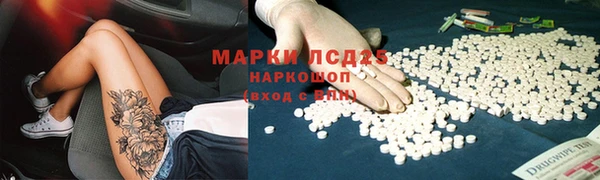 крисы Елабуга