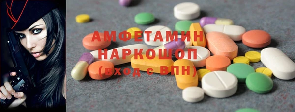 дурь Ельня