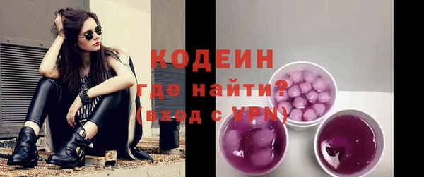 крисы Елабуга