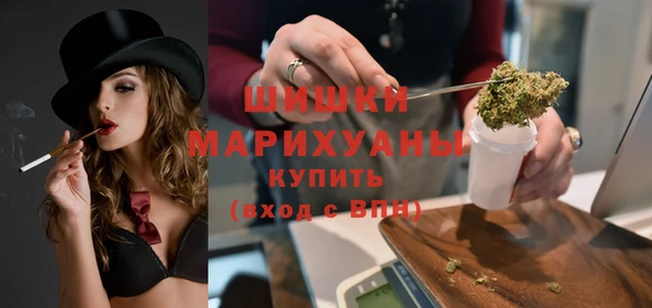 крисы Елабуга