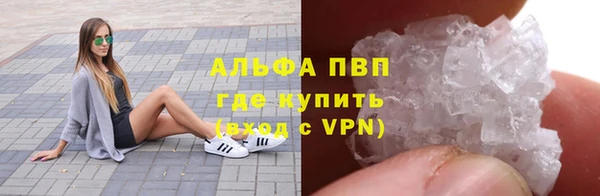 крисы Елабуга