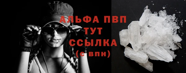 крисы Елабуга