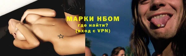 дурь Ельня