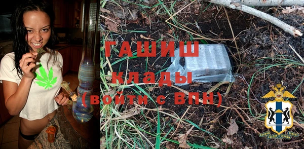 крисы Елабуга