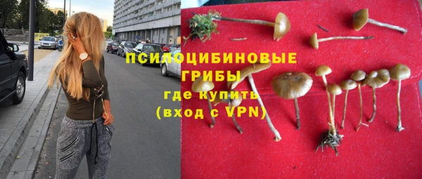Альфа ПВП Елизово