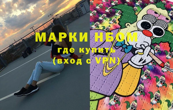 крисы Елабуга