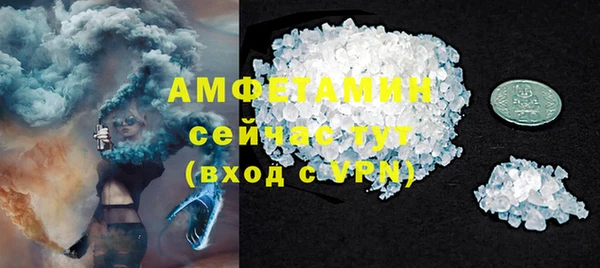 дурь Ельня