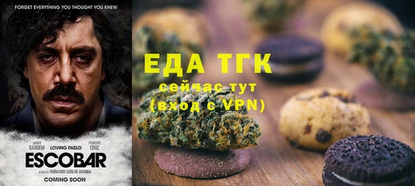 дурь Ельня