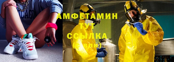 дурь Ельня