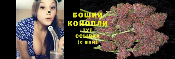 дурь Ельня