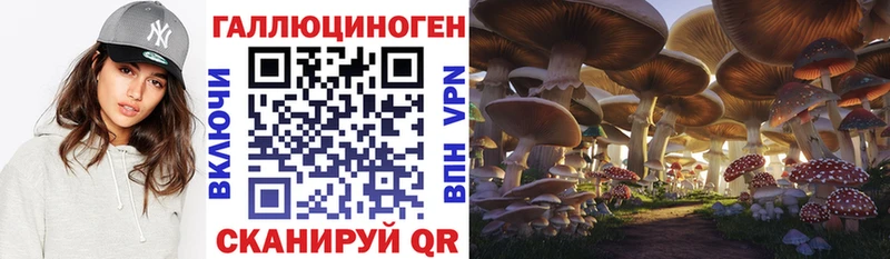 Галлюциногенные грибы Psilocybe Шлиссельбург